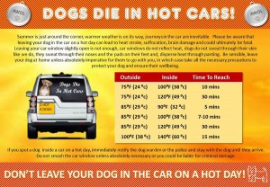 Dogs_Die_In_Hot_Cars_Poster_2015_-_JULY