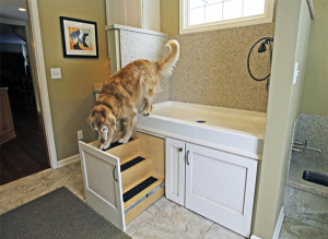 Pet_Designs_Shower