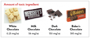 chocolate-toxicity-chart-pets