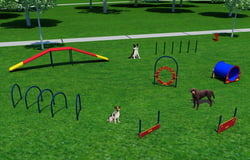 Dog Park Packages/Kits Gold Package
