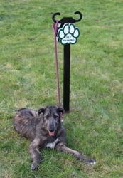 Canine Courtyard™ Dog Park Agility Poodle Parking Post