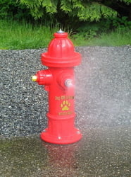 Pet Fountains & Water Features Spray Fire Hydrant