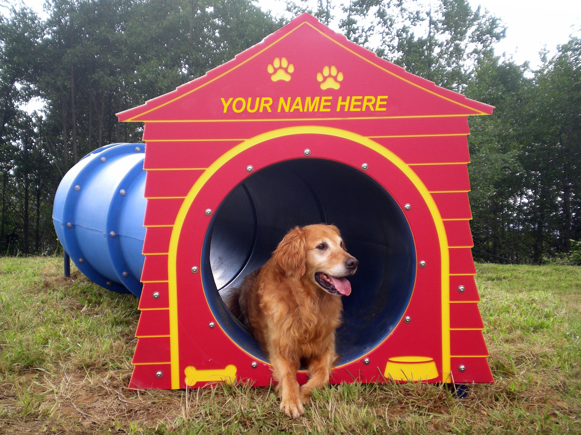 STunnel (shown with optional dog house)
