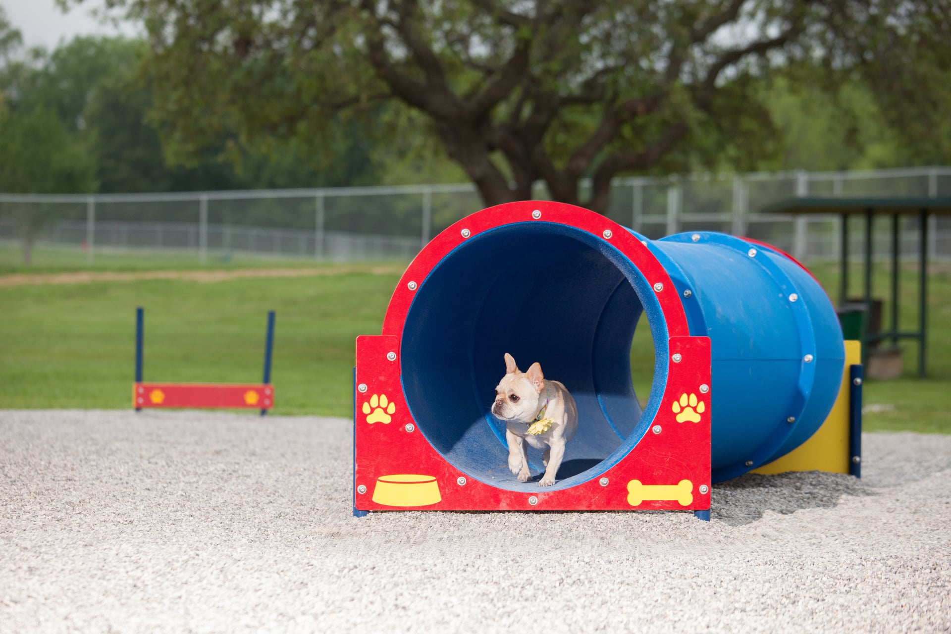 STunnel (shown with optional dog house)