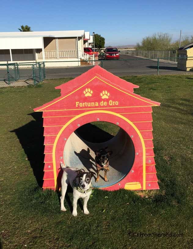 STunnel (shown with optional dog house)