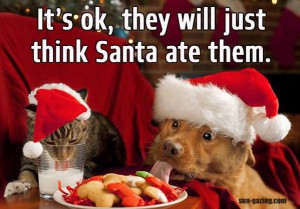 naughty dog and cat eating Christmas cookies and milk