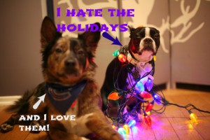 meme of two dogs that feel differently about Christmas