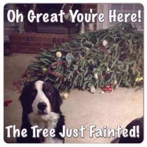 meme about a dog knocking over a Christmas tree