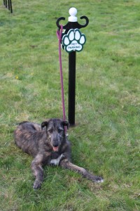 Pet Parking Post with Wolfhound