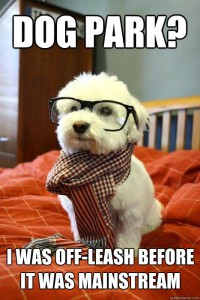 meme of a hipster puppy dog