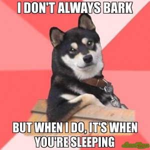 meme about a dog barking when its owner is sleeping