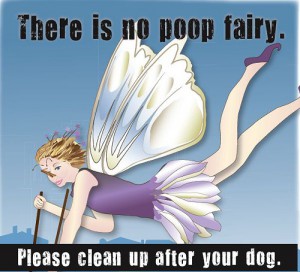 meme about the poop fairy and cleaning up after your dog