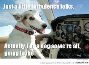 meme about a dog flying a plane