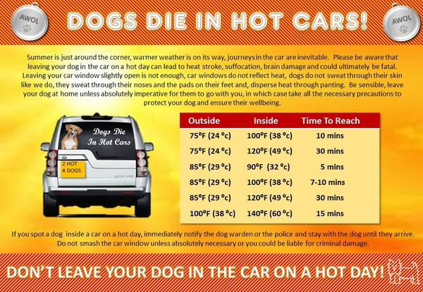 illustration of the danger of hot temperatures in cars with dogs
