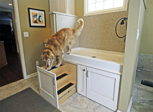 Dog shower and grooming table inside a home