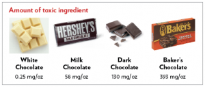 Chocolate toxicity chart for pet owners