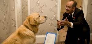 Milestone Hotel Golden Retriever dog