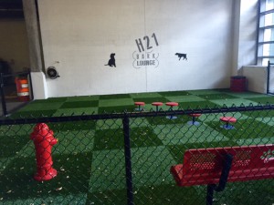 Hartford 21 POD indoor dog park system - Hartford, CT