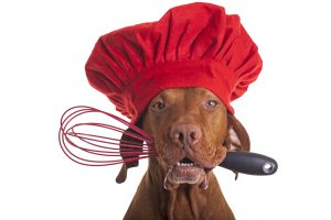 dog wearing a chefs hat