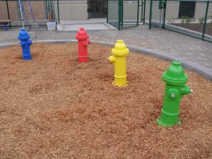 custom dog park fire hydrant