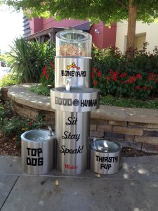 Dog fountain with treat dispenser