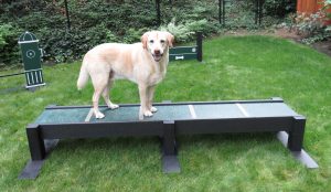 eco friendly dog balance beam for dog park