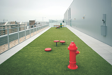 Photo of roof top dog park with artificial turf and a fire hydrant built by Dog-ON-It-Parks