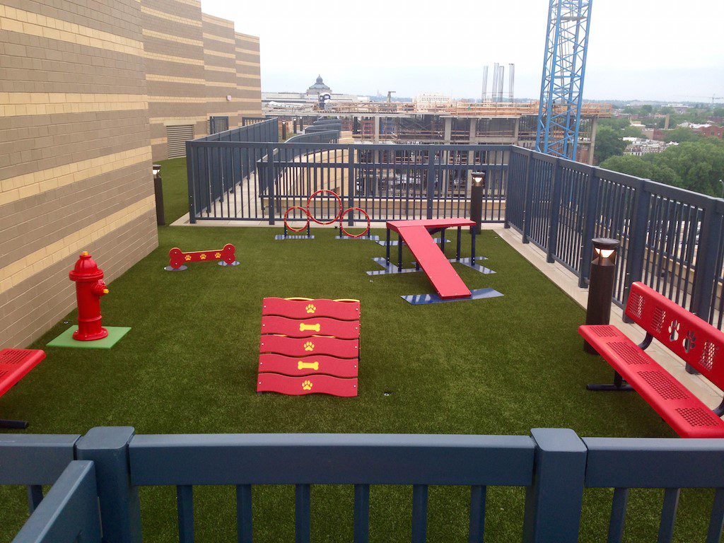 rooftop dog park constructed by Dog-ON-It-Parks