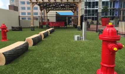 Outdoor dog park with fire hydrant, water fountain and logs built by Dog-ON-It-Parks
