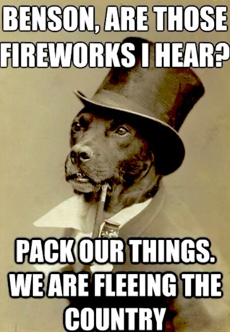 meme of dog dressed in old fashioned clothing and afraid of fireworks