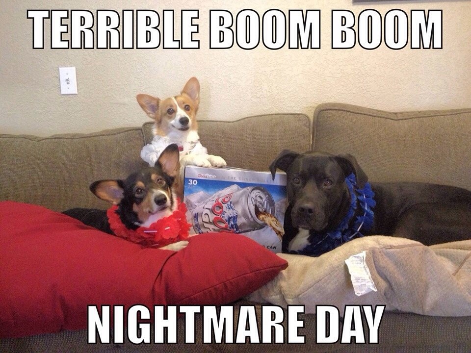 meme of dogs with coors light beer and scared of fireworks