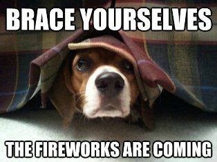 meme of dog frightened by fireworks