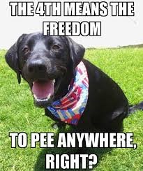 meme of dog with the freedom to pee anywhere