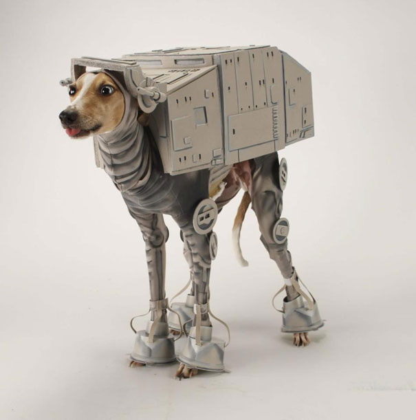 greyhound wearing Star Wars costume