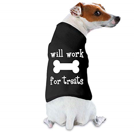 dog wearing shirt that says will work for treats
