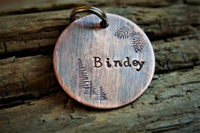 custom bronze dog tag with pine tree design