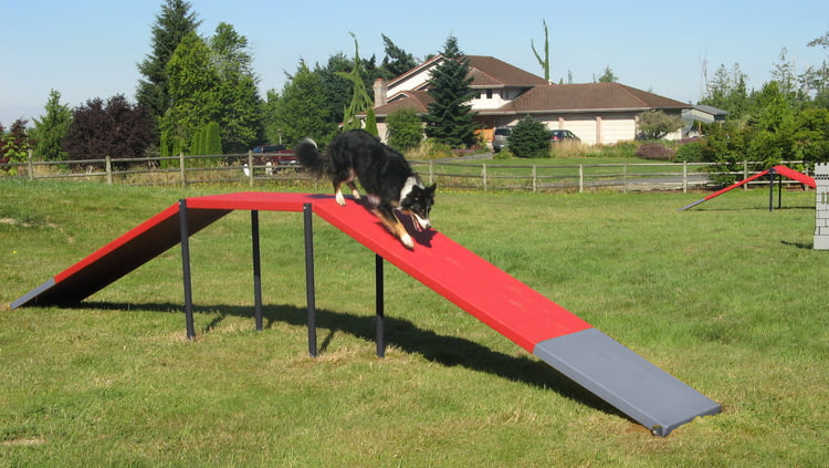 Dog Walk Ramp