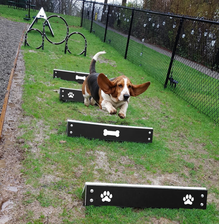 Hound Hurdles&trade;