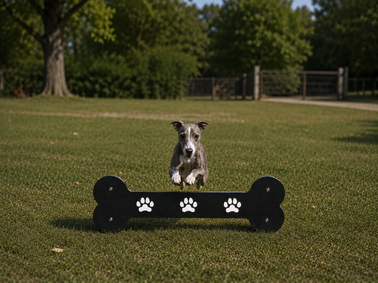 Beagle Bone Jump