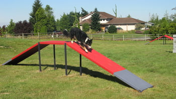 Dog Walk Ramp