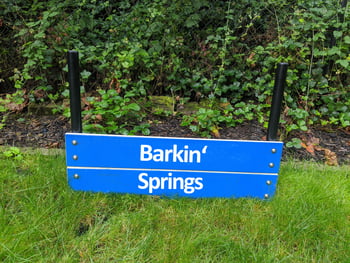 Classic Dog Park Agility Equipment Wall Jump - Double