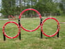 Husky Triple Hoop