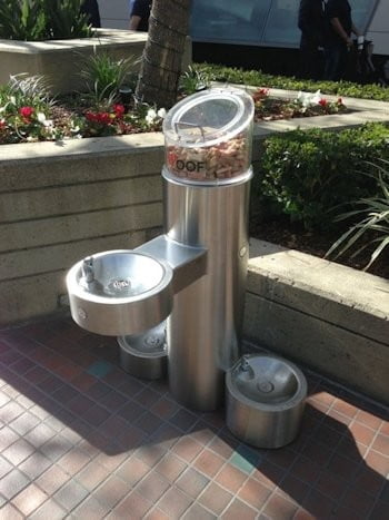 Barrier Free Fountain w/ Pet Bowl