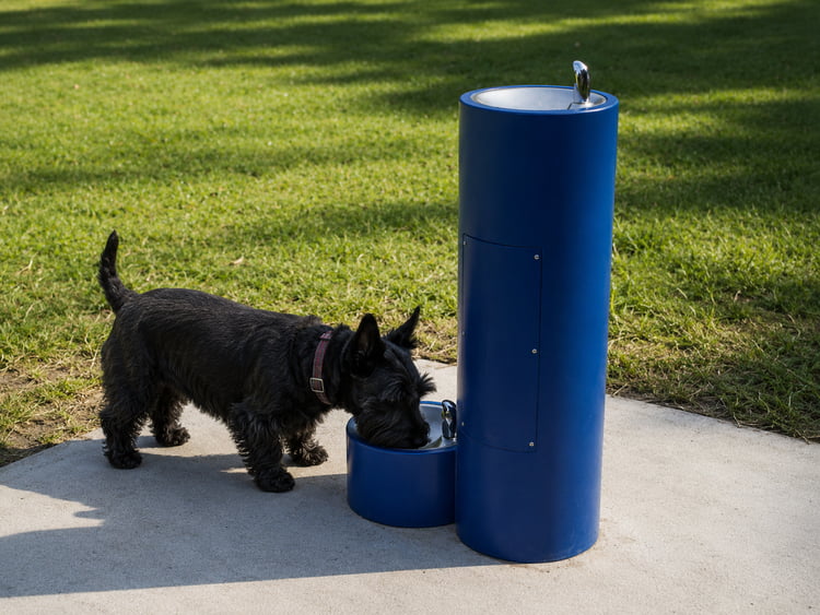 Pedestal Fountain w/ Pet Bowl