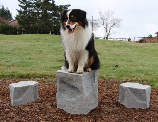 NatureDog™ Stepping Stones (Set of 3)