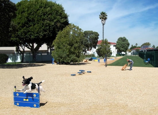 Engineered Woof Fiber for Dog Parks