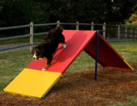 A Frame Dog Park Ramp