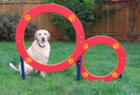 Double Hoop Dog Park Jump