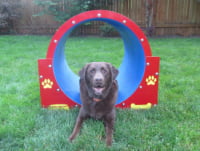 Bow Wow Barrel Dog Park Tunnel