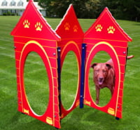 Dog House Agility Run